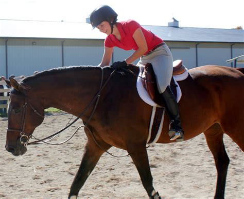 fc-falcon">In translational motion, work done is given by F . . Duzan riding academy